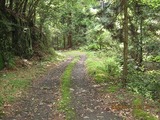 画像 170