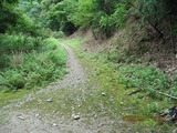 画像 180