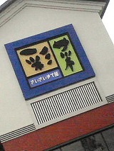 彩菜