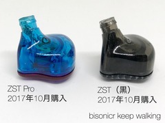 KZ ZST