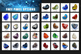 facepanel option