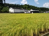 IMG00636