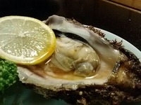IMG00631