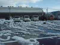 101226雪