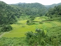 IMG00625