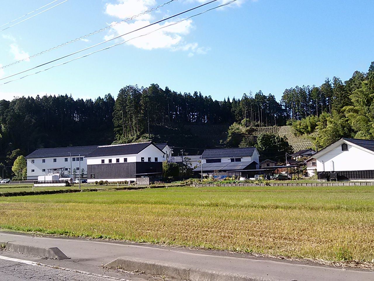IMG00107