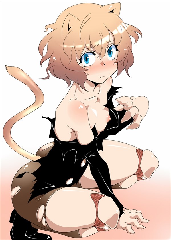 ハンターハンターのエロ画像