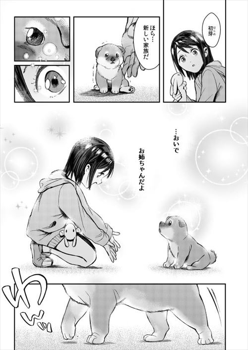 いぬのきもちいいのエロ画像
