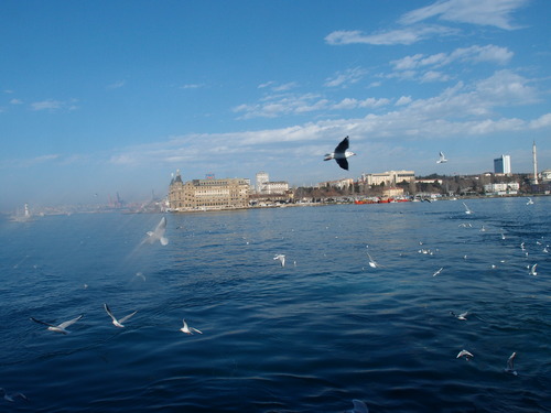 P1207415