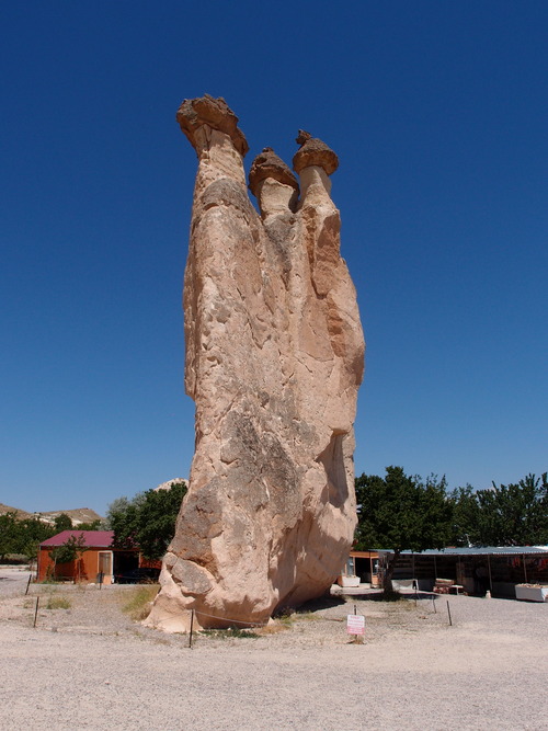 P6046109