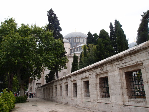 P6048989