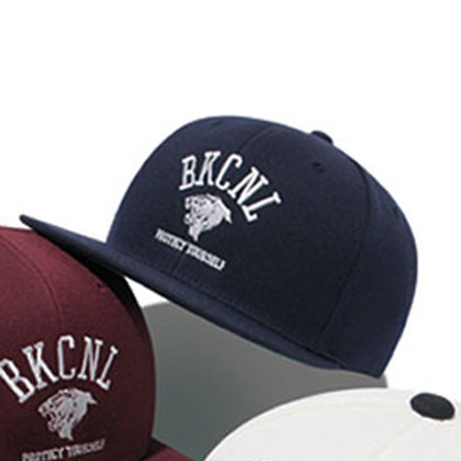 Back-Channel-COLLEGE-LOGO-SNAP-BACK-NAVY