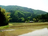 上山田