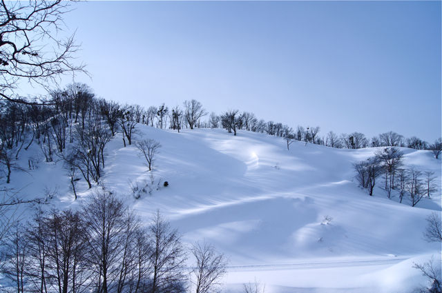 DSC00747s