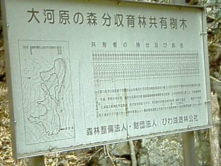 立派な看板です