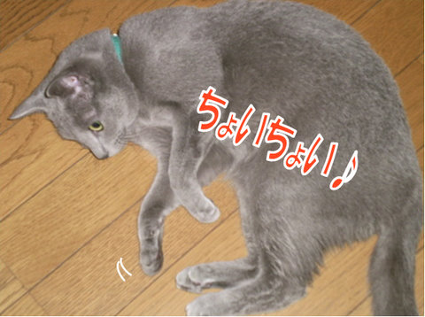 ���顢���礤���礤��