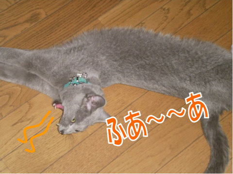 ���顢�դ�������