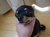 ab0d0770.JPG