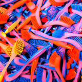 brush