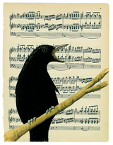 crow