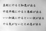 c93c8812.jpg