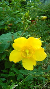 93a8f164.jpg