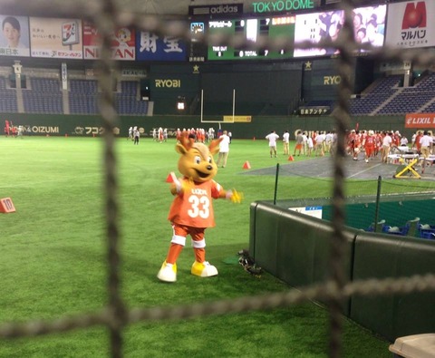 x-league-american-football-at-dome_deers