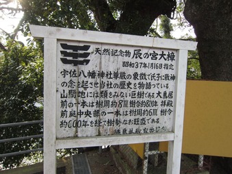 10神山