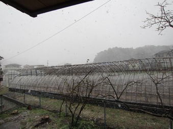 4雪