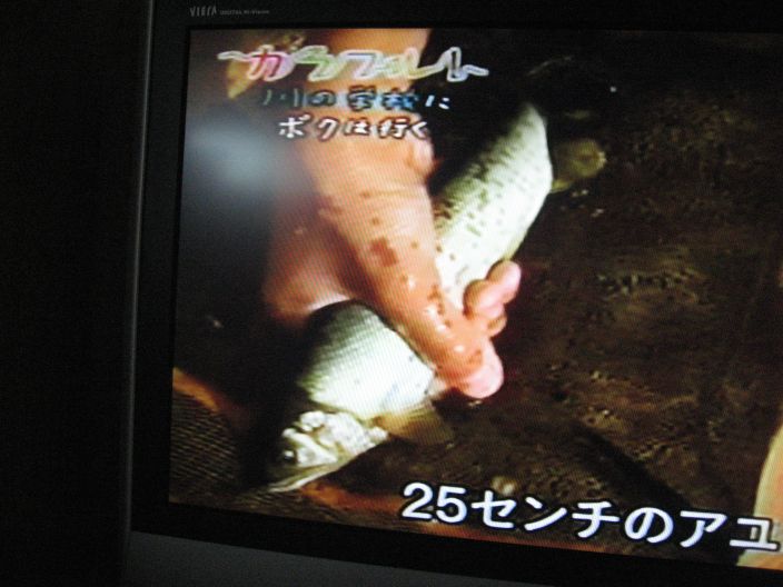 画像 107225センチのあゆ
