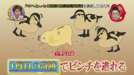 奇跡のニワトリ・・・マサヒロ君 11