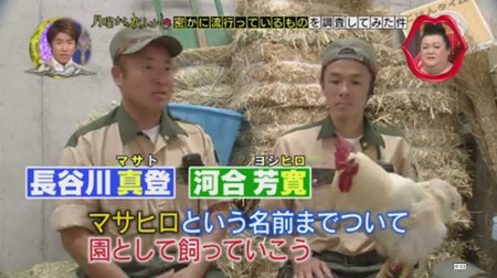 奇跡のニワトリ・・・マサヒロ君 19