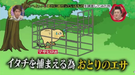 奇跡のニワトリ・・・マサヒロ君 14