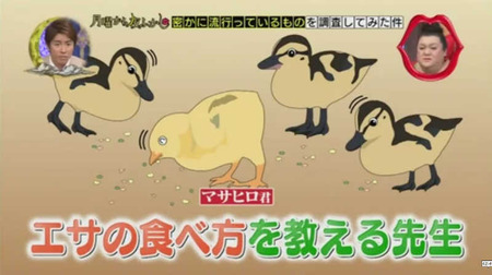 奇跡のニワトリ・・・マサヒロ君 10