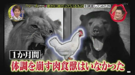 奇跡のニワトリ・・・マサヒロ君 18