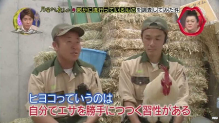 奇跡のニワトリ・・・マサヒロ君 9