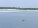 P1018154-1
