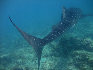 9 DSCF2854�褦�������