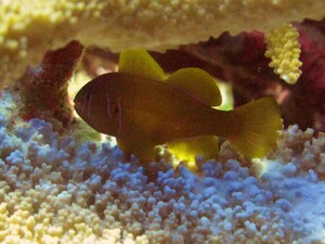 24,IMG_3741