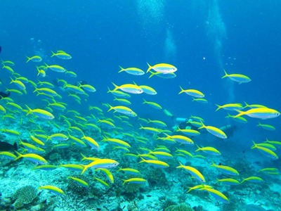 �������Ť����