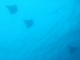 DSCF4029-2