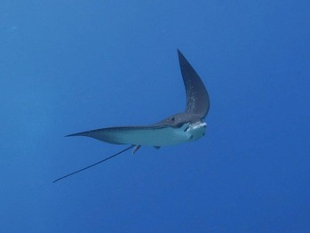 24,IMG_4678