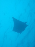 DSCF4031-1