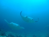 DSCF6776-1