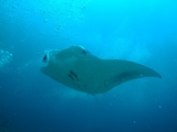 DSCF6772-1