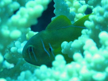 10,N11,IMG_0086