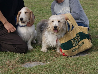 DSC01776_2