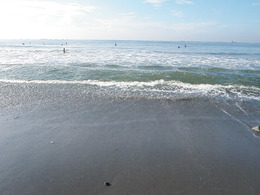 P8240141