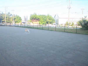 P7160170