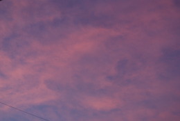 DSC01485